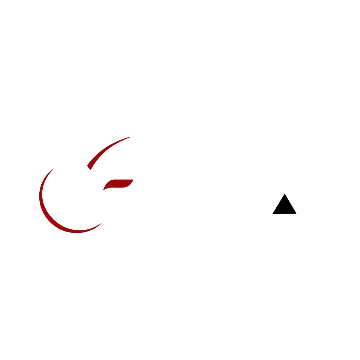 Vita Global Cargo